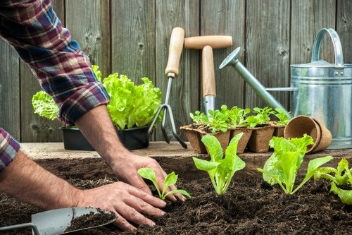 Gardener Mortlake team working in a residential Mortlake garden, close-up of tools and plants.