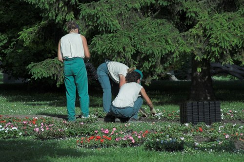 Close-up of lawn and tools after service
