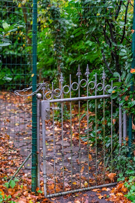 A small garden gate made of metal with decorative finials on top of the vertical bars, set within a lush, green garden environment. The gate is painted in a weathered gray finish, and it appears sligh