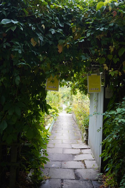 A small garden gate made of metal with decorative finials on top of the vertical bars, set within a lush, green garden environment. The gate is painted in a weathered gray finish, and it appears sligh