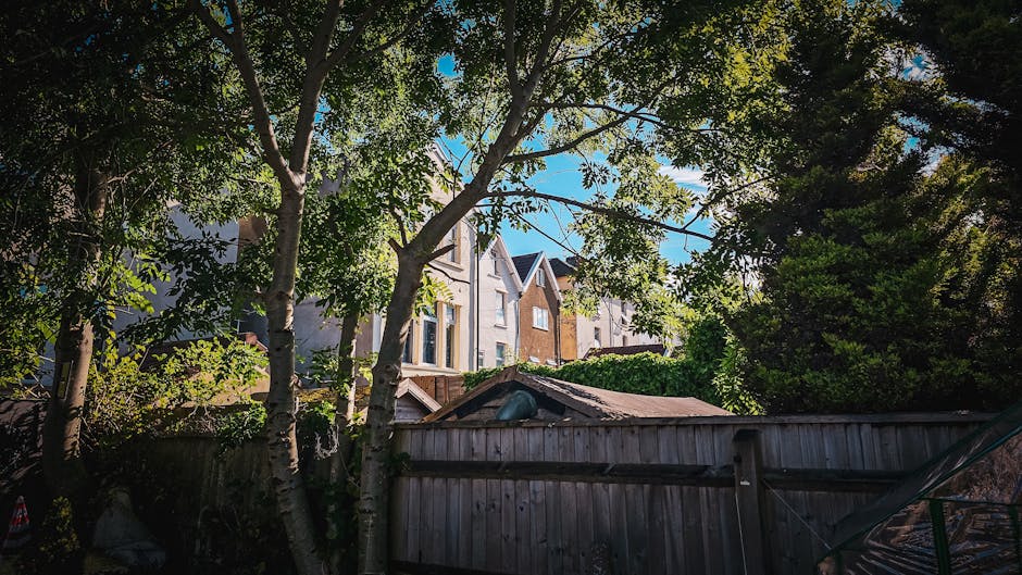 A well-maintained suburban garden on a bright, sunny day, featuring a lush green lawn with freshly mown grass, bordered by neatly trimmed hedges and a variety of flowering plants, including vibrant ro