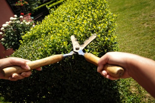 A garden scene showing a neatly trimmed, dense hedge with small, bright green leaves, situated in a well-maintained outdoor space. In the foreground, two hands are gripping garden pruning shears, actively shaping the top of the hedge. The background features a lush, green lawn with a clear, sunny sky overhead, indicating a bright weather day. To the left, there are potted flowering plants with white and pink blooms, adding colour contrast to the scene. The garden surface includes both the trimmed grass lawn and a paved area with light-colored paving stones, suggesting a landscaped backyard or front garden typical in Mortlake. The overall environment appears tidy and cared for, reflecting regular gardening maintenance, which aligns with professional garden services like those offered by Gardener Mortlake.
