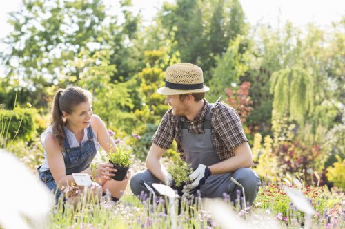 A man and a woman are engaging in gardening activities in a well-maintained outdoor garden space. The woman, with long hair tied back, is kneeling on the grass and holding a small potted plant with purple flowers, smiling at the man. The man, wearing a straw hat, checked shirt, and garden gloves, is also kneeling on the lush green grass, attentively examining the plant. The garden features a variety of plants, including low-lying flowering plants with purple and pink blooms in the foreground, and taller shrubs and trees with green foliage in the background. The scene is illuminated by natural sunlight, creating bright highlights and soft shadows, suggesting a clear, pleasant day in late spring or summer. In the background, there are neatly trimmed bushes, flowering plants, and leafy trees, adding depth and a natural, vibrant atmosphere to the outdoor space. This setting exemplifies a peaceful, well-kept garden suitable for planting, maintenance, and outdoor leisure, aligning with gardening services offered in Mortlake by Gardener Mortlake.
